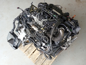 Ford Focus (2004–2011) Motor G8DD - 4