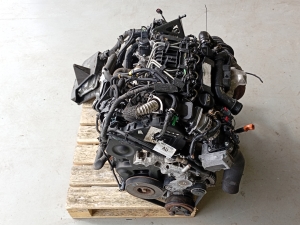 Ford Focus (2004–2011) Motor G8DD - 5