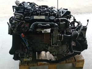 Ford Focus (2004–2011) Motor G8DD - 6