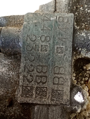 Subaru Forester SJ (2012–2018) Motor komplett FB20 - 6