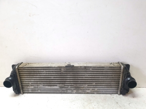 Intercooler - A9065010201