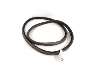   Trunk seal (on body)  - 81761K0000 