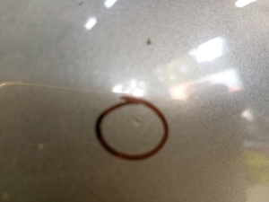 Mazda 3 (2009–2013) Vordere Tür - 3