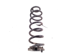 Volkswagen Passat B9 (2023–2026) Rear spring 5QA511103F - 2
