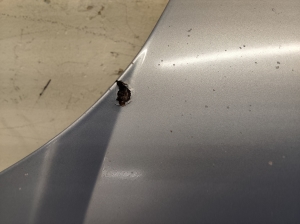 Opel Meriva (2003–2010) Hood 13207140 - 6