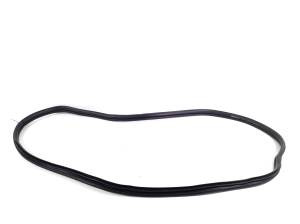   Rear side door seal on the door  - 83110AT000 