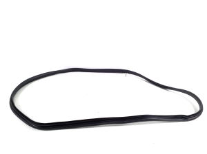 Kia Niro EX (2022–2026) Front door rubber seal 82120AT000 - 2