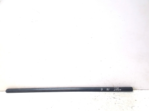Front door molding - 8200209755