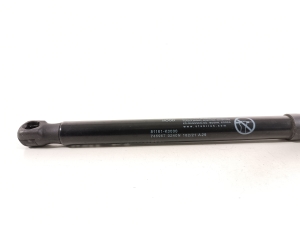 Kia Soul (2019–2026) Hood prop/gas strut 81161K0000 - 2