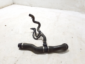   Radiator hose  - A1675004501 