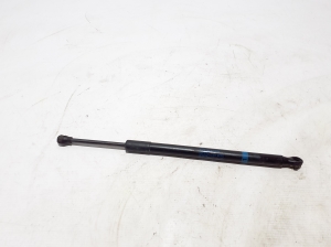   Hood prop/gas strut  - A1679800164 