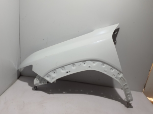 Vorderer Kotflügel - 631138184R