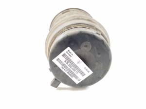 Porsche Panamera 970 (2009–2016) Aizmugurējā tilta gaisa piekares spilvens 97033353315 - 4