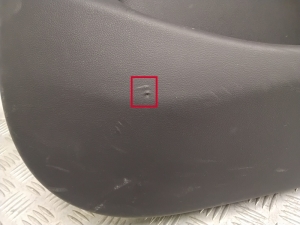 Tesla Model 3 3 (2016–2024) Rear side door panel 110509600E - 5