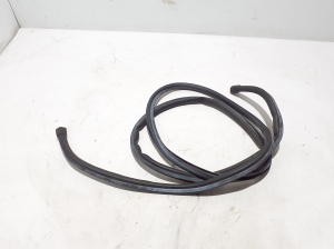 Hood seal - 31402737