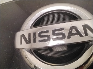 NISSAN Leaf II (2017–2026) Front grille 620725SK0D - 4