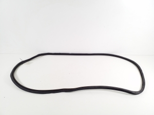 Porsche Panamera 970 (2009–2016) Front door rubber seal 97053726501 - 2