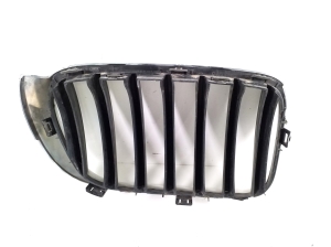 BMW X3 F25 (2010–2017) Front grille 7338571 - 3