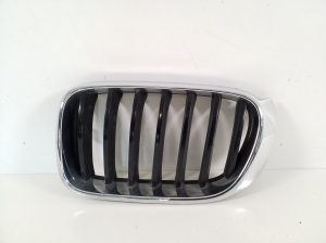 Front grille - 7338571