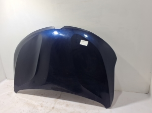 Hood - 656160156R