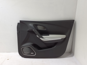 Front door panel - 809005816R