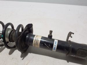 Dacia Spring (2021–2026) Eesmine amortisaator 543022595R - 2