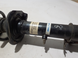 Dacia Spring (2021–2026) Eesmine amortisaator 543022595R - 3