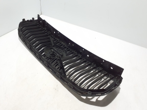 Kühlergrill - 31479415
