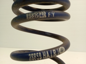 Rear spring - 28859HA