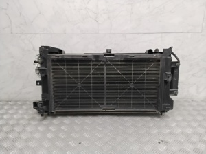 Radiaatorite komplekt ja selle osad - 921003NL1B