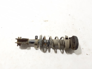   Stoßdämpfer vorne  - 543023828R 