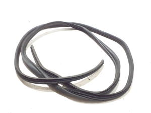 Opel Vivaro B (2014–2019) Schiebetürdichtung 769231590R - 3