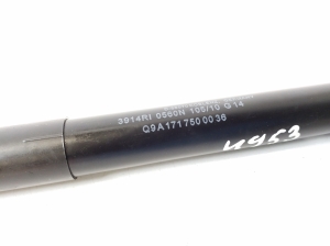 Mercedes Benz SLK-Class 171 (2004–2011) Heckklappendämpfer A1717500036 - 2