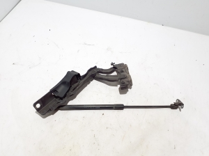   Hood hinge  - 31651861 