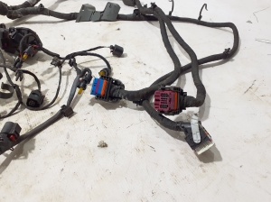 Porsche Panamera 971 (2016–2026) Engine wiring harness 06M971595BB - 3