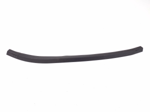   Front door rubber seal  - A1716970351 