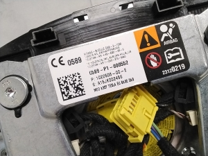 Tesla Model S S (2012–2026) Stūres drošības spilvens 102250600E - 4