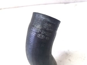 Kia Sorento (2014–2026) Intercooler hose 284892R000 - 3