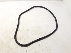   Rear side door seal on the door  - 971839911 