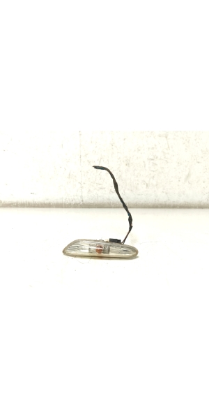   Seitenblinker Kotflügel vorne  - 7253325 