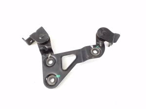   Sonstiger Halter  -  