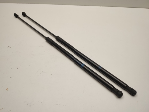   Hood prop/gas strut  - A2539801264 