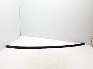 Roof molding - 5A55902