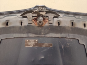 BMW 3 SERIES E90 (2004–2013) Motorhaube 9231859 - 5