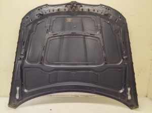 BMW 3 SERIES E90 (2004–2013) Motorhaube 9231859 - 6