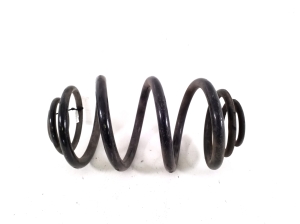   Rear spring  - 550202870R 