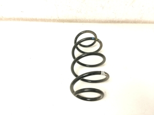 Volkswagen ID.4 I (2020–2026) Front spring - 4