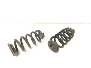 Volkswagen ID.4 I (2020–2026) Rear spring - 2
