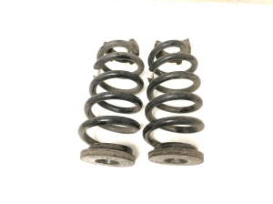   Feder hinten  -  
