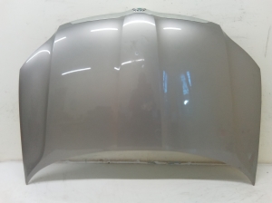 Motorhaube - 5L0823105